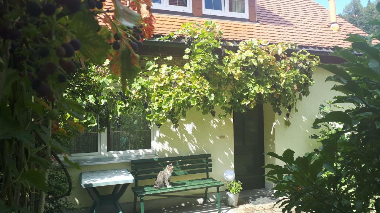 Ferienhaus Puttrich Hohnstein Kültér fotó